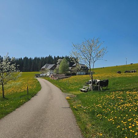 Lorenzenhaeusle Titisee-Neustadt Exteriér fotografie