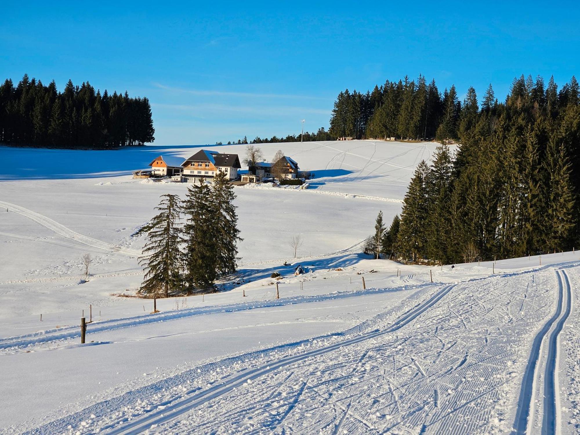 Lorenzenhaeusle Titisee-Neustadt Exteriér fotografie