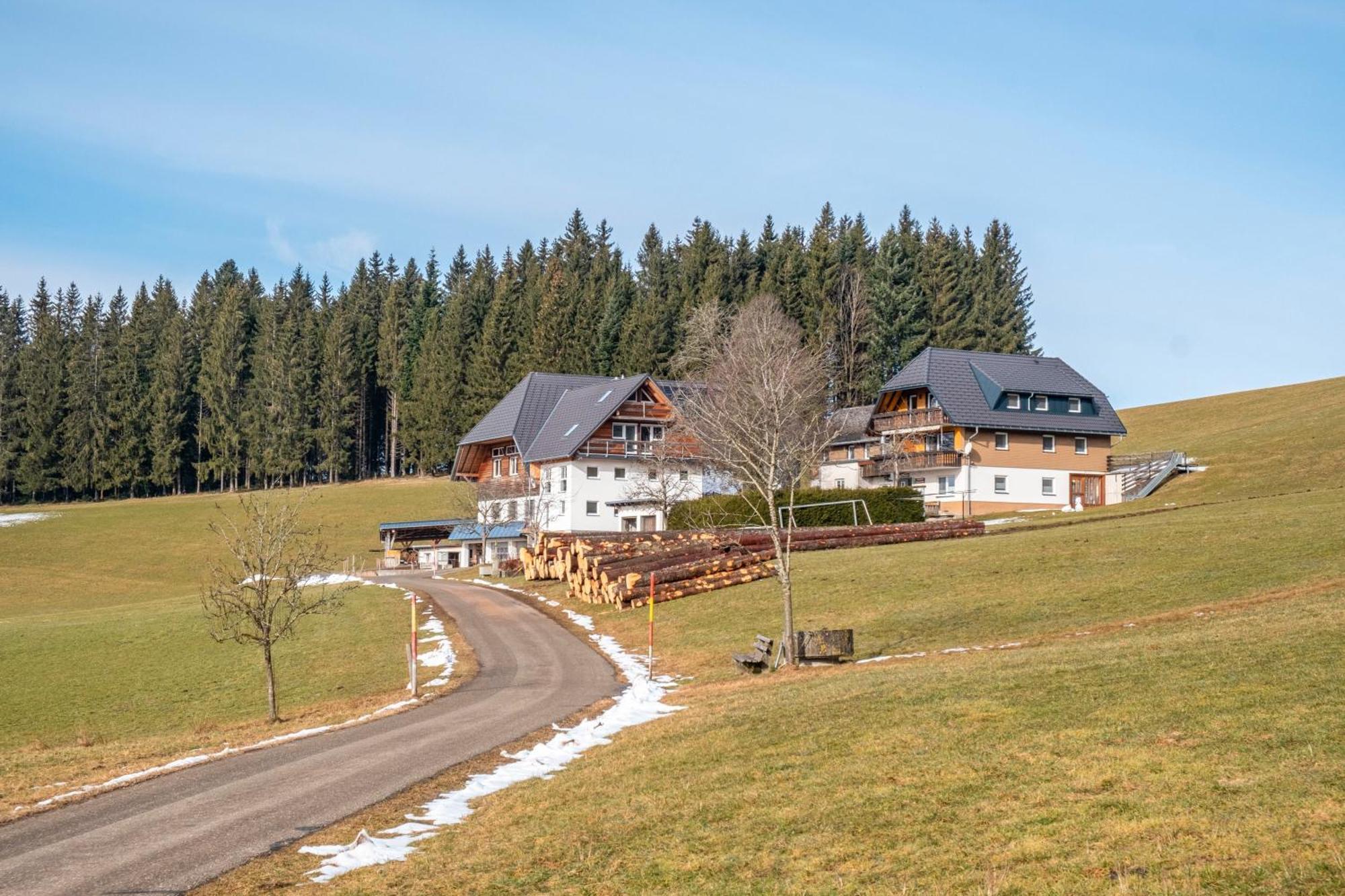 Lorenzenhaeusle Titisee-Neustadt Exteriér fotografie