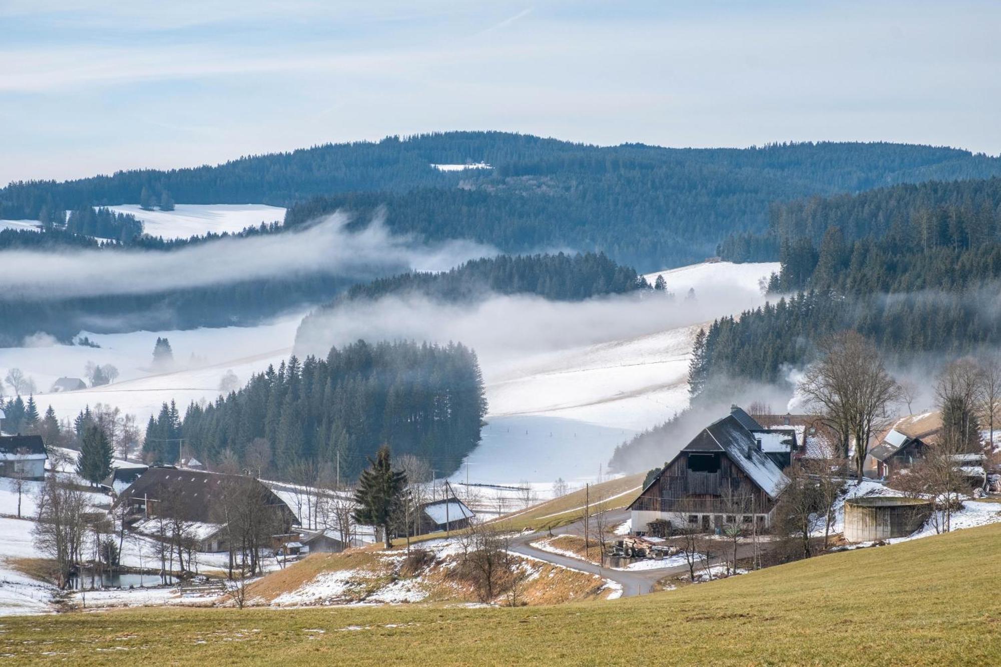 Lorenzenhaeusle Titisee-Neustadt Exteriér fotografie