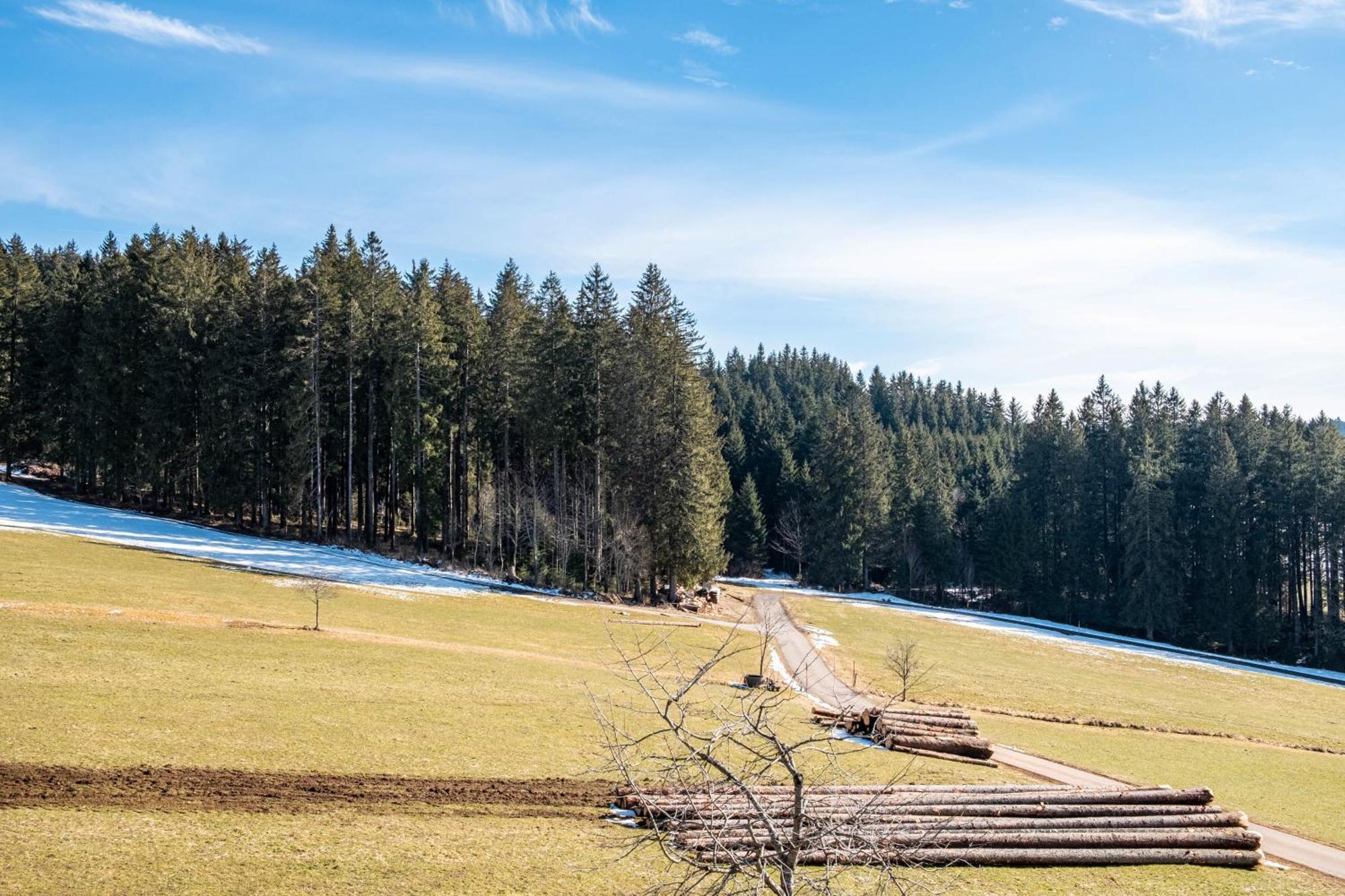 Lorenzenhaeusle Titisee-Neustadt Exteriér fotografie