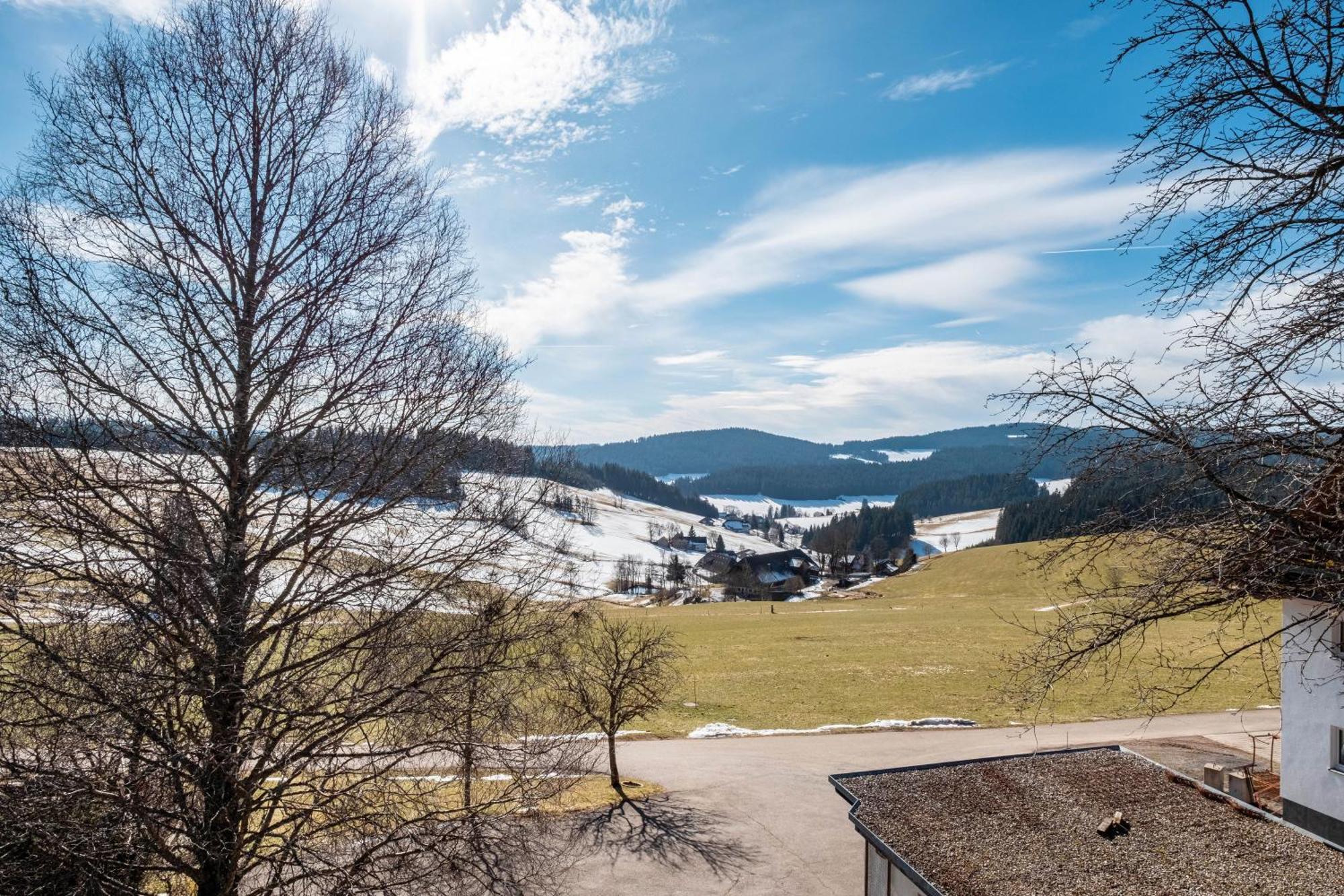 Lorenzenhaeusle Titisee-Neustadt Exteriér fotografie
