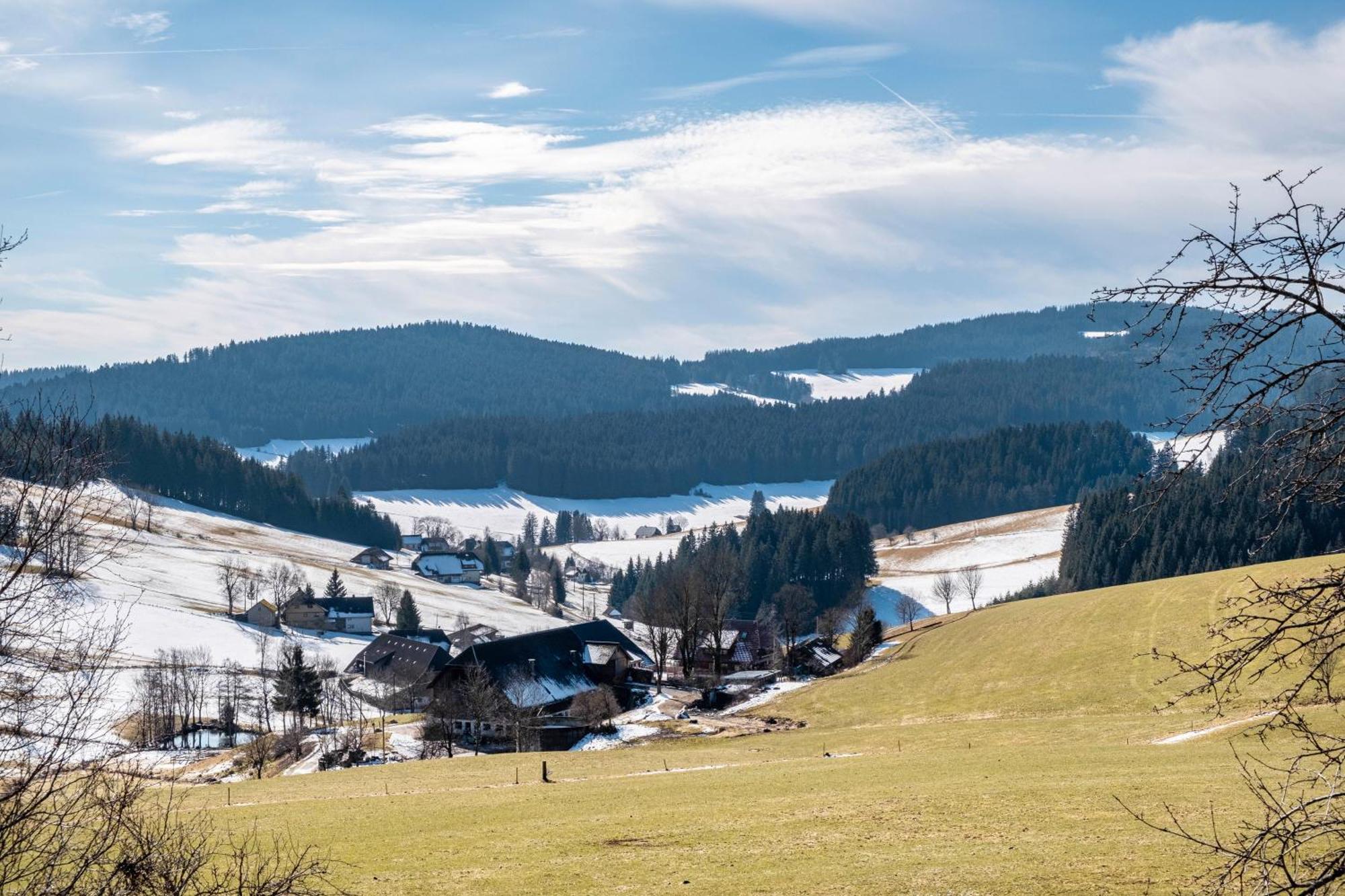 Lorenzenhaeusle Titisee-Neustadt Exteriér fotografie