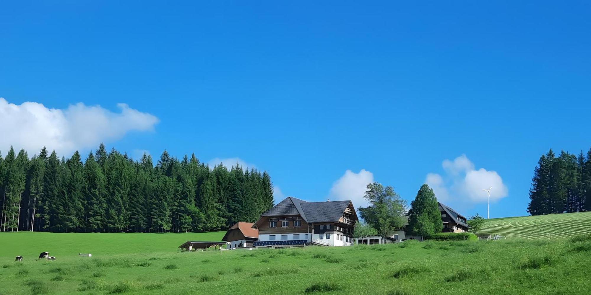 Lorenzenhaeusle Titisee-Neustadt Exteriér fotografie