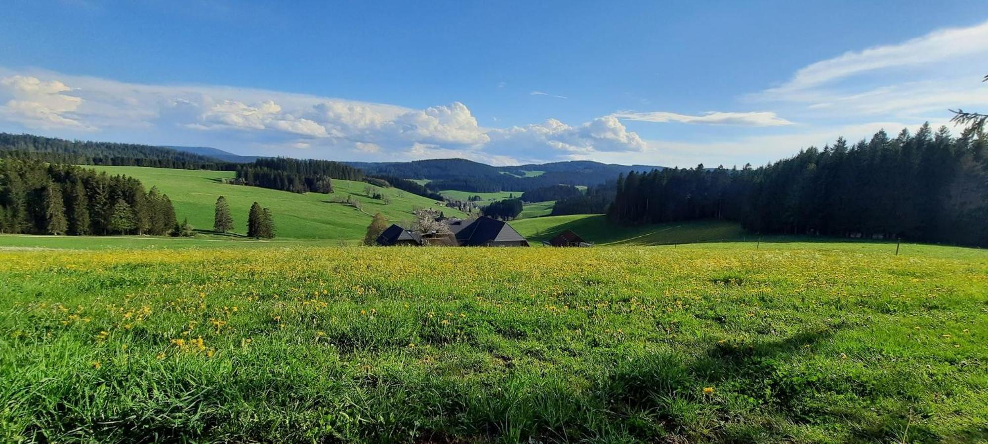 Lorenzenhaeusle Titisee-Neustadt Exteriér fotografie