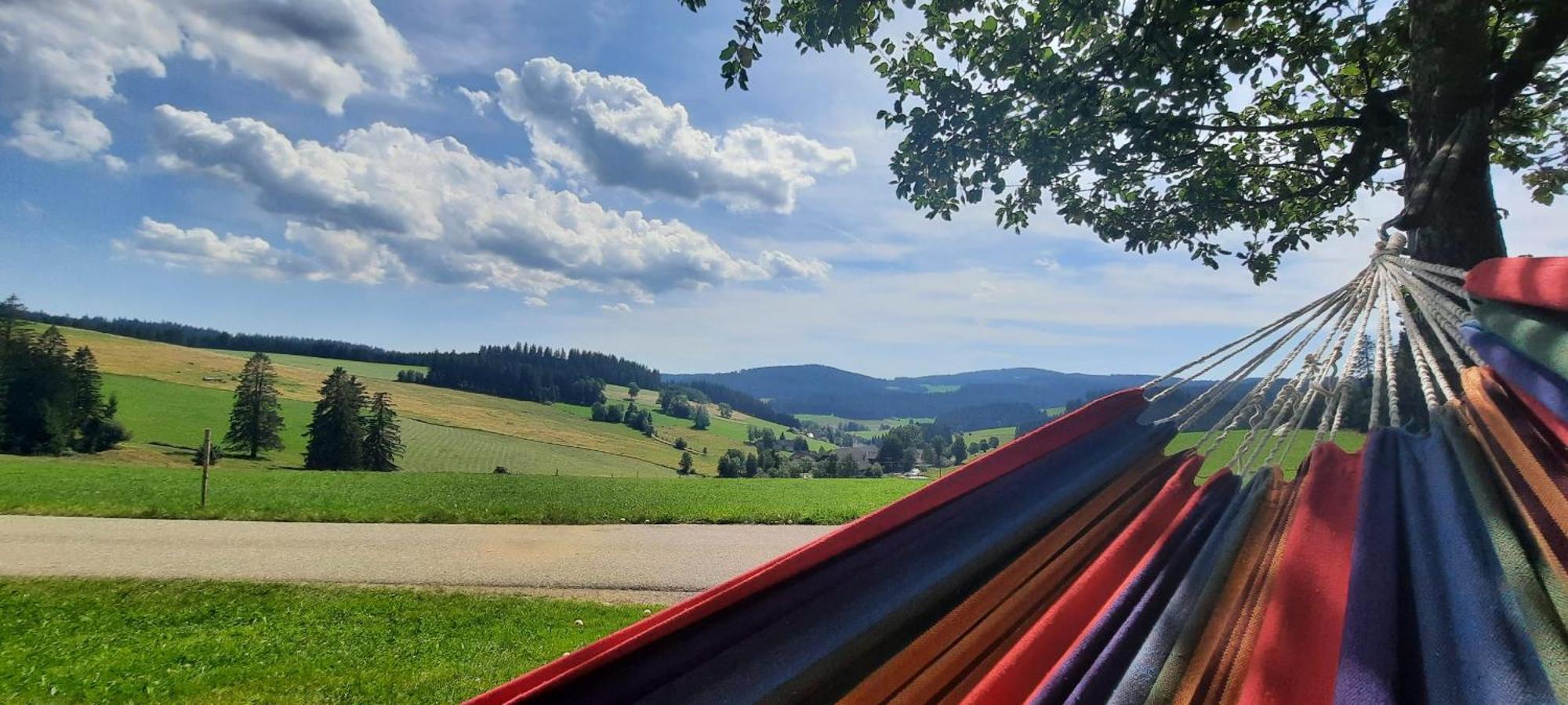 Lorenzenhaeusle Titisee-Neustadt Exteriér fotografie