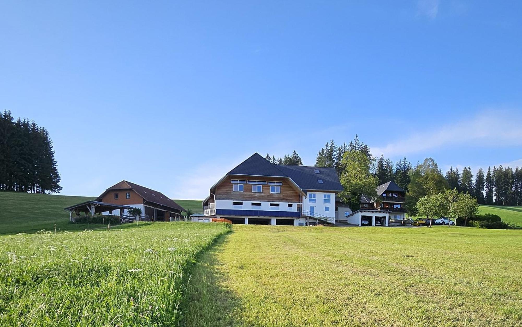 Lorenzenhaeusle Titisee-Neustadt Exteriér fotografie