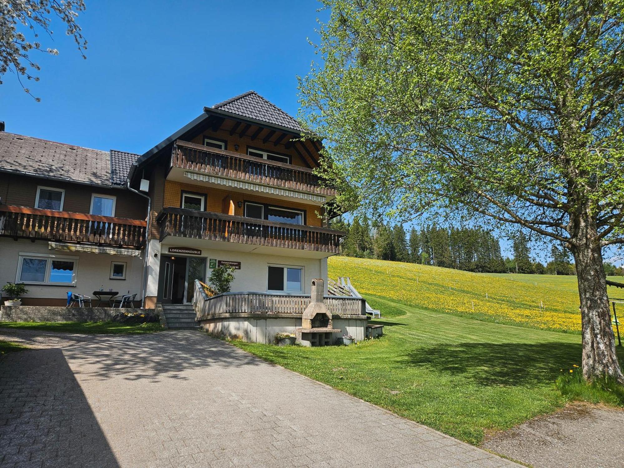 Lorenzenhaeusle Titisee-Neustadt Exteriér fotografie