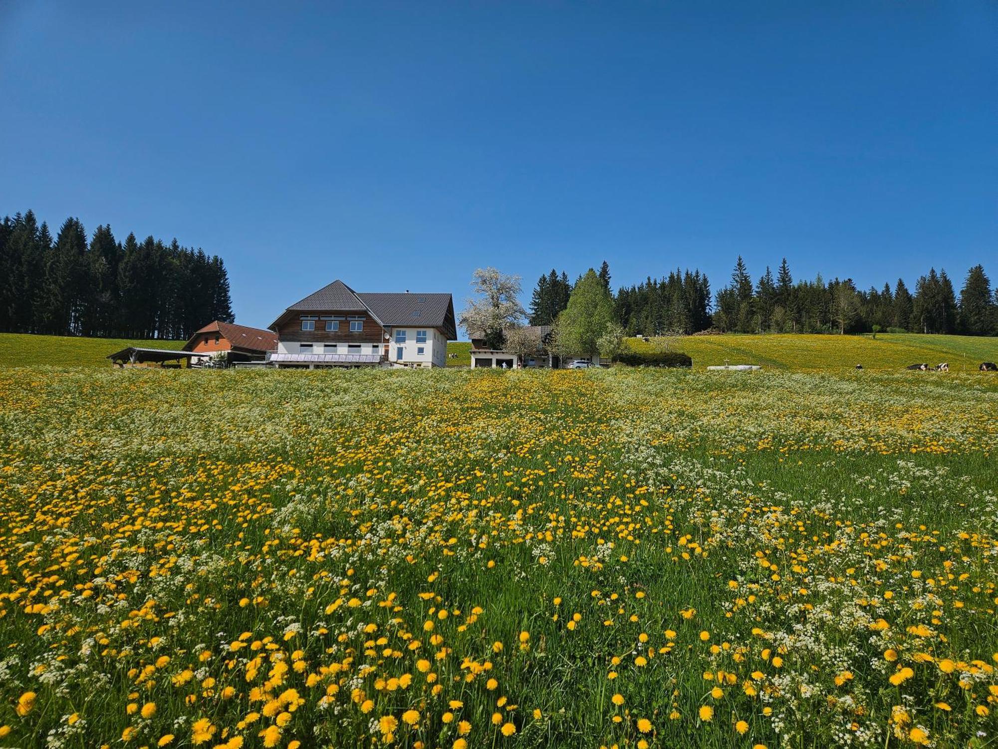 Lorenzenhaeusle Titisee-Neustadt Exteriér fotografie