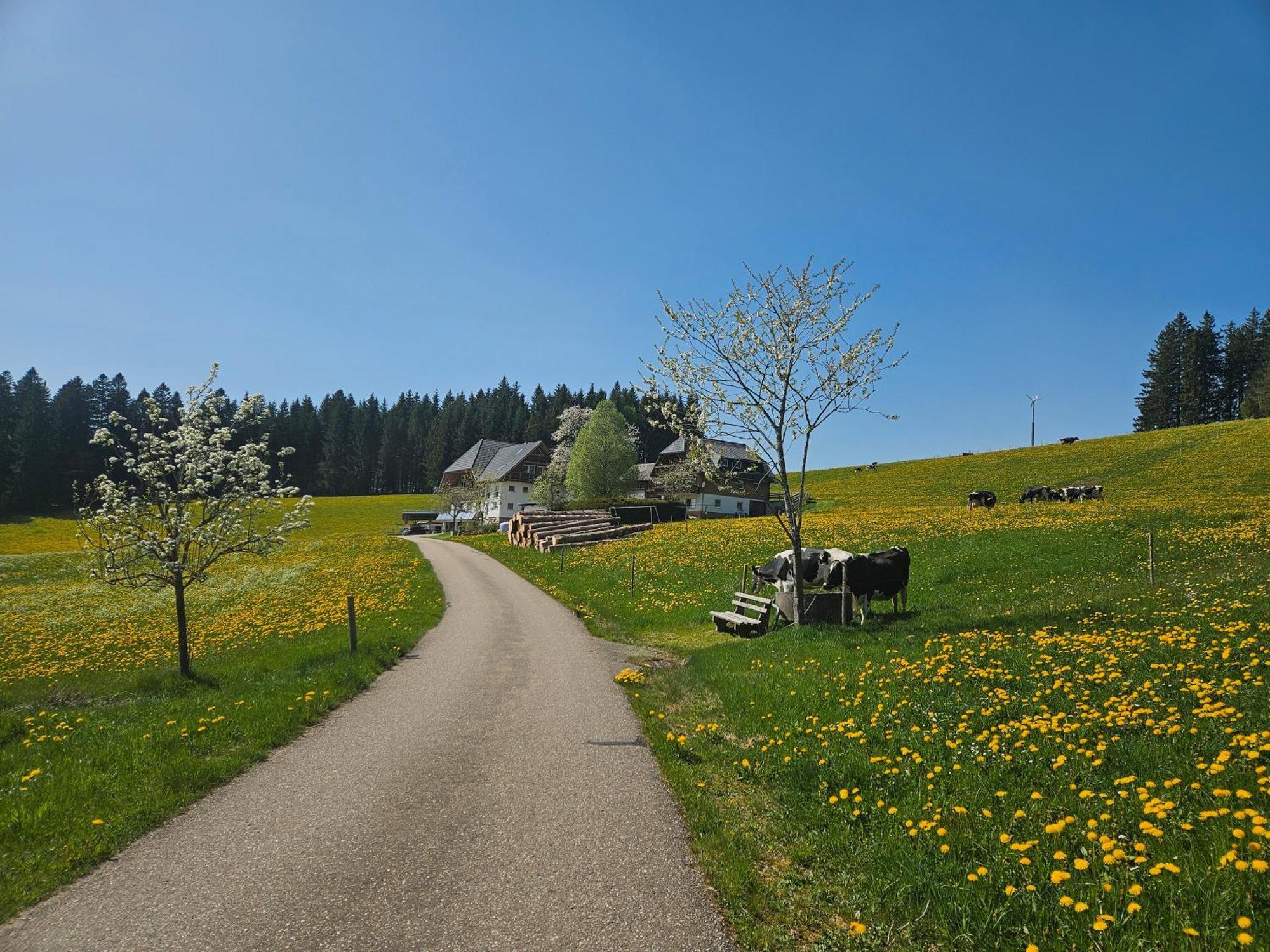 Lorenzenhaeusle Titisee-Neustadt Exteriér fotografie